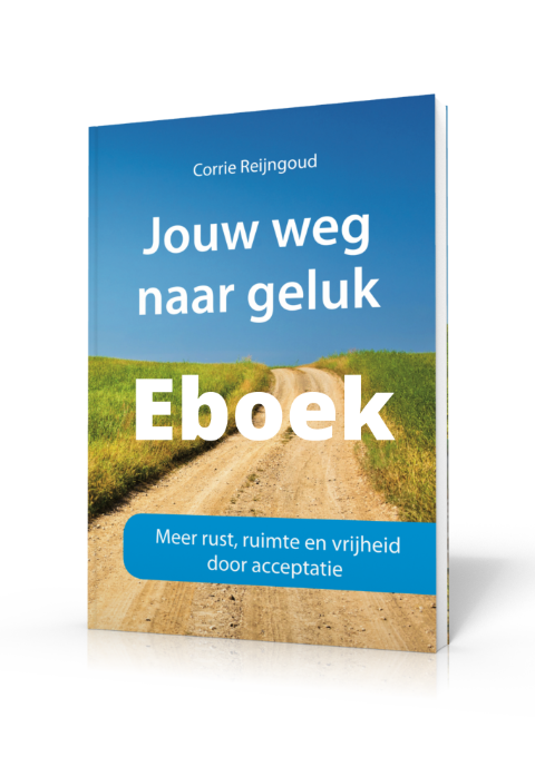 E-boek Jouw weg naar geluk
